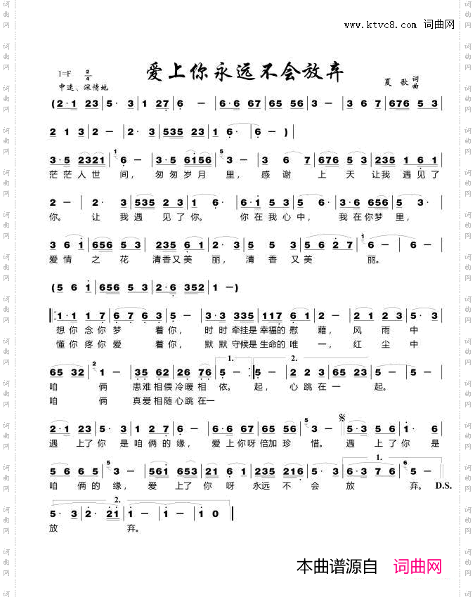 爱上你永远不会放弃