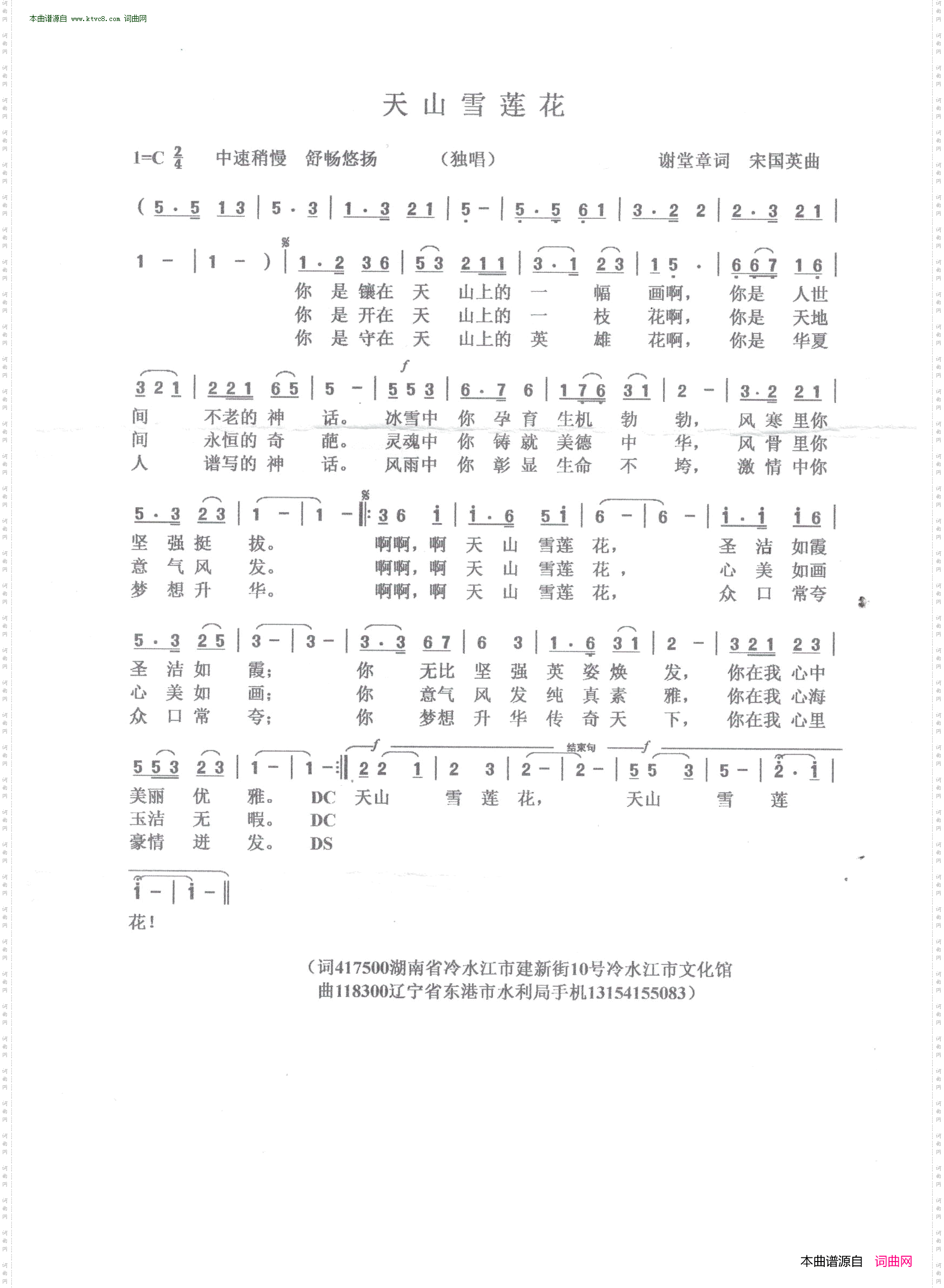 天山雪莲花