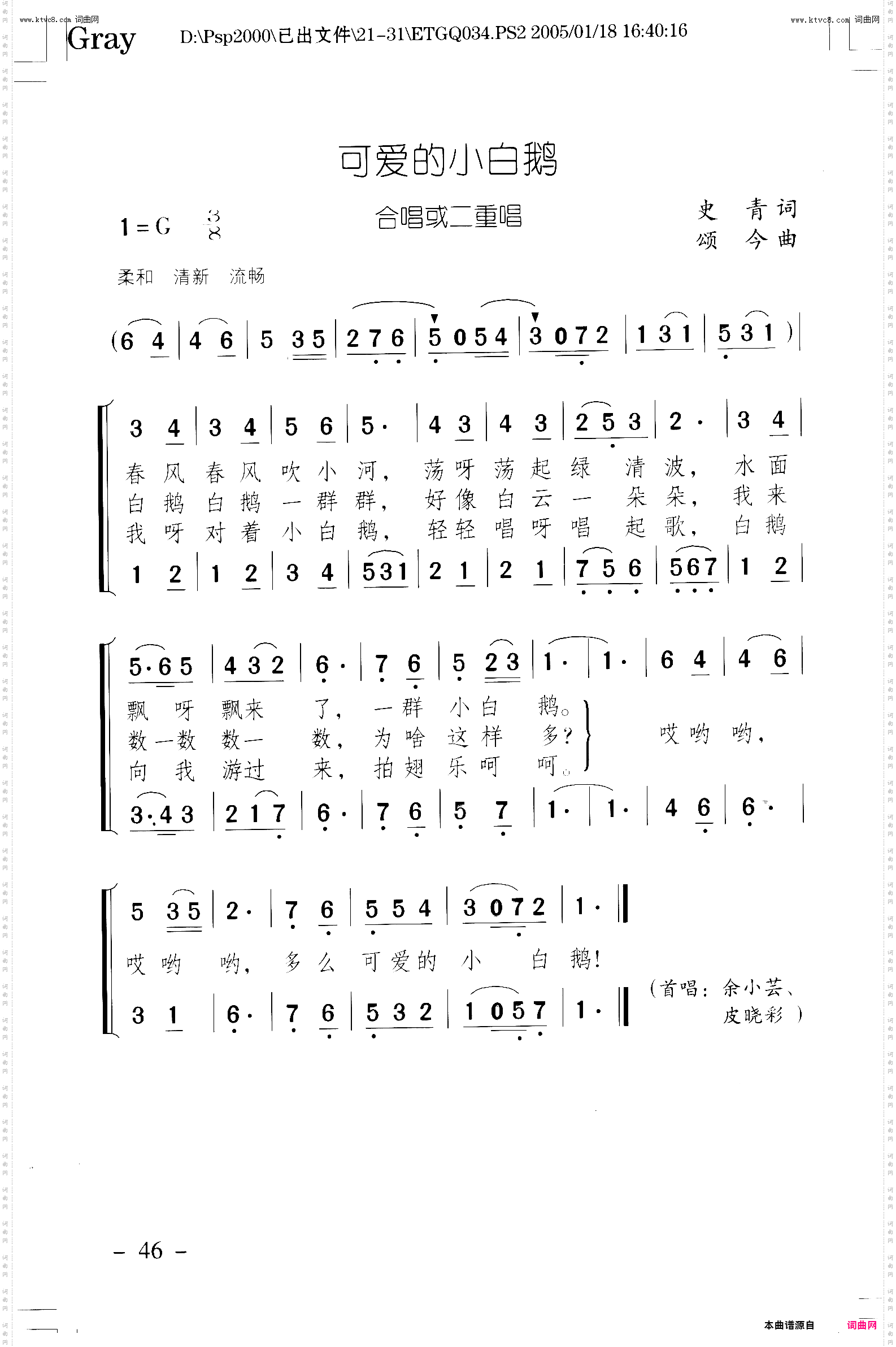 可爱的小白鸽