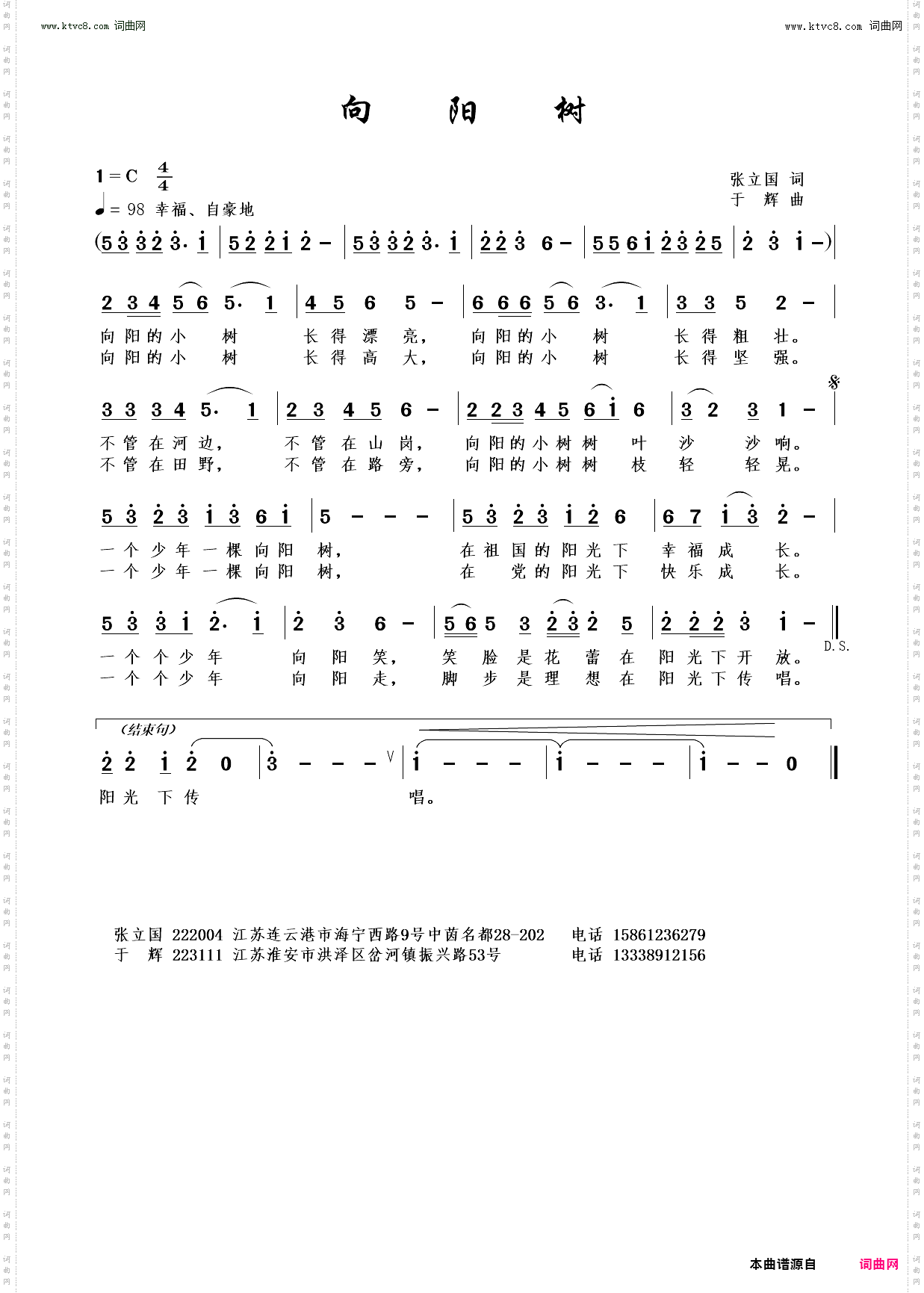 向阳树
