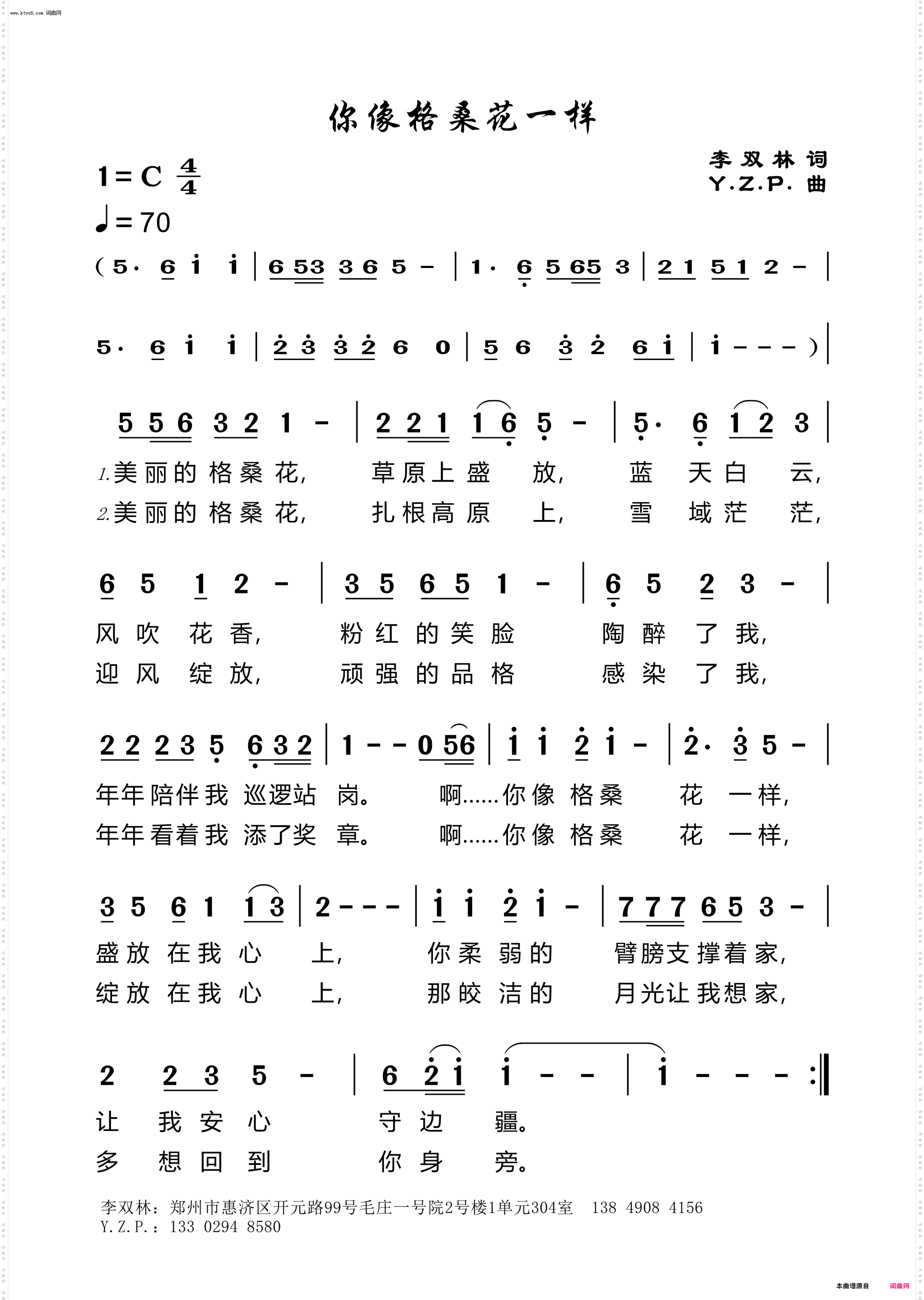 你像格桑花一样