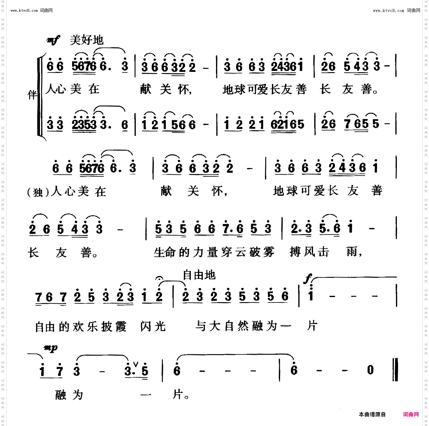 苍鹰泪