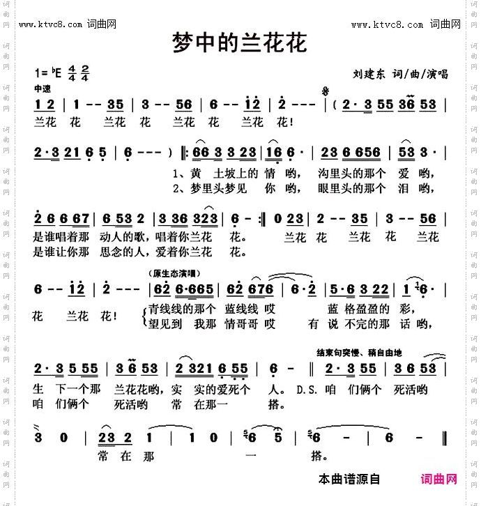 梦中的兰花花