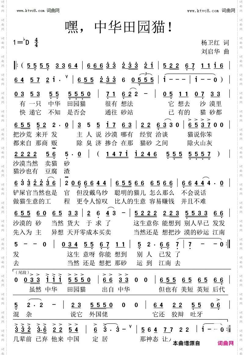 嘿，中华田园猫