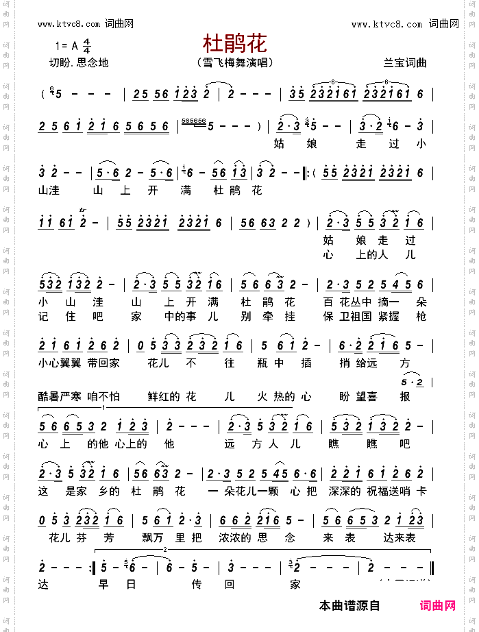 杜鹃花