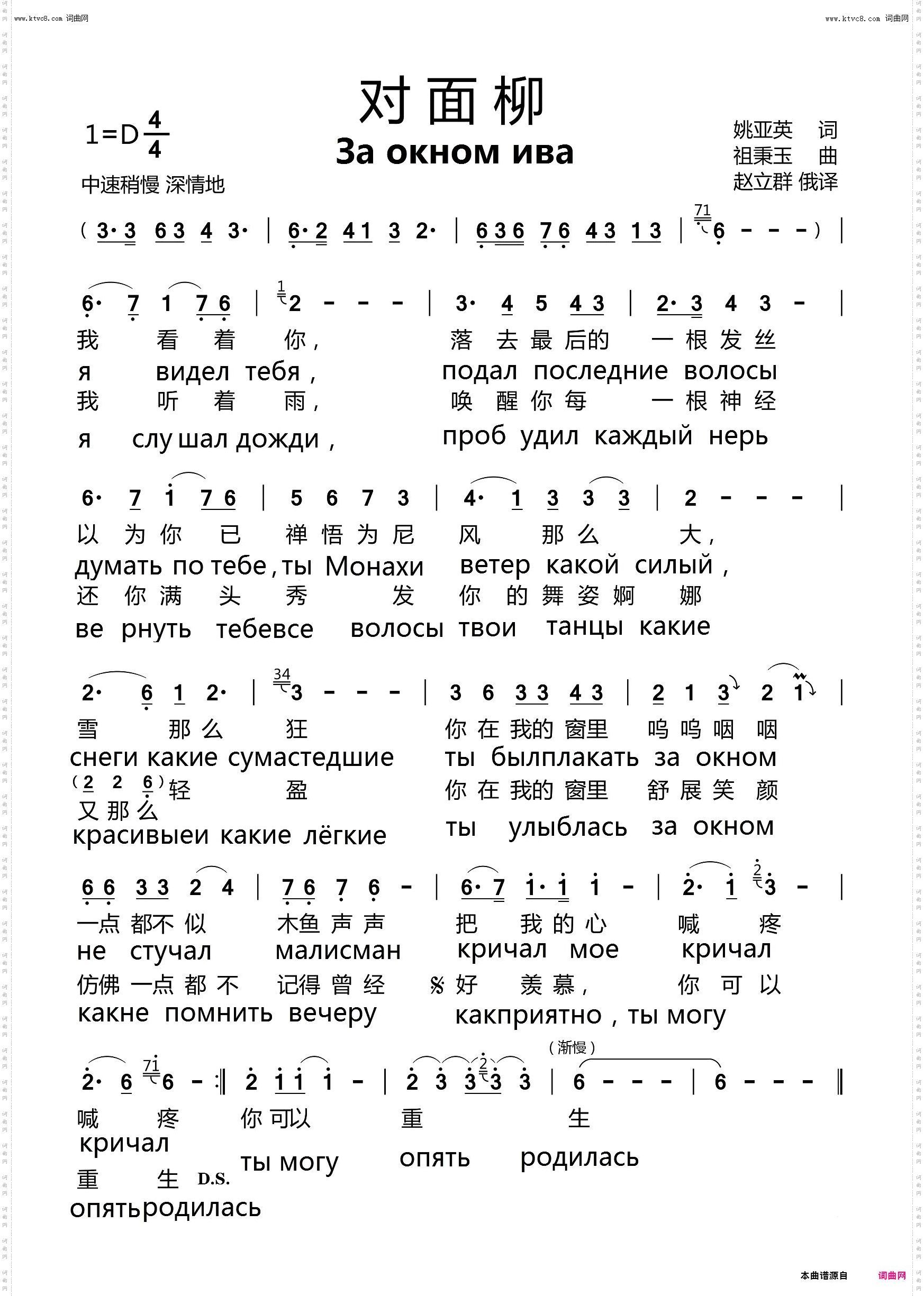 对面柳