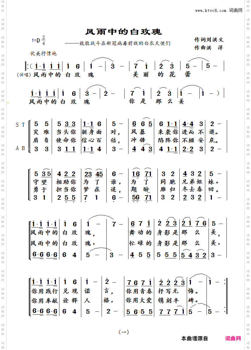风雨中的白玫瑰