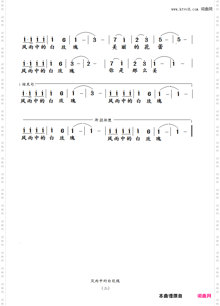 风雨中的白玫瑰