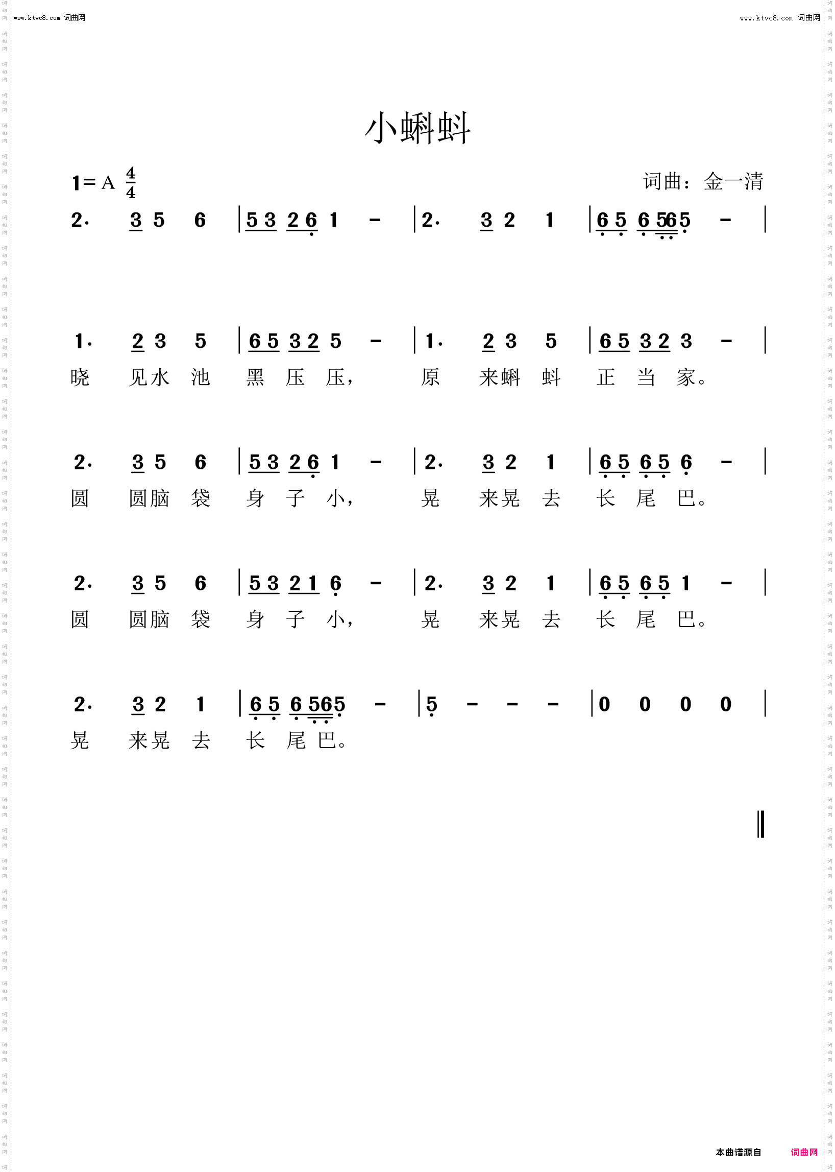 小蝌蚪