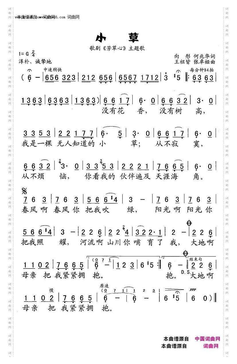 小草C调伴奏
