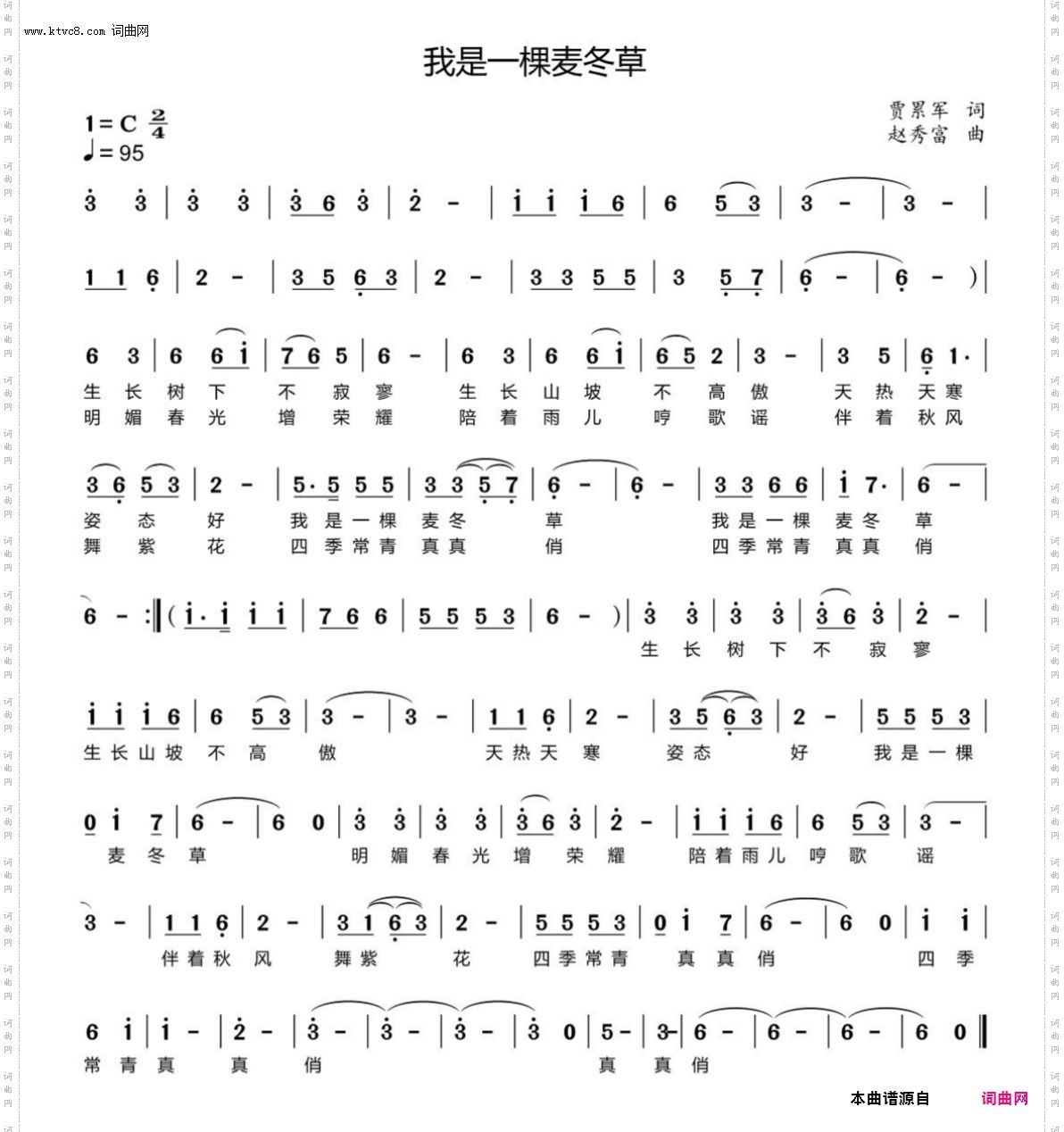 我是一棵麦冬草
