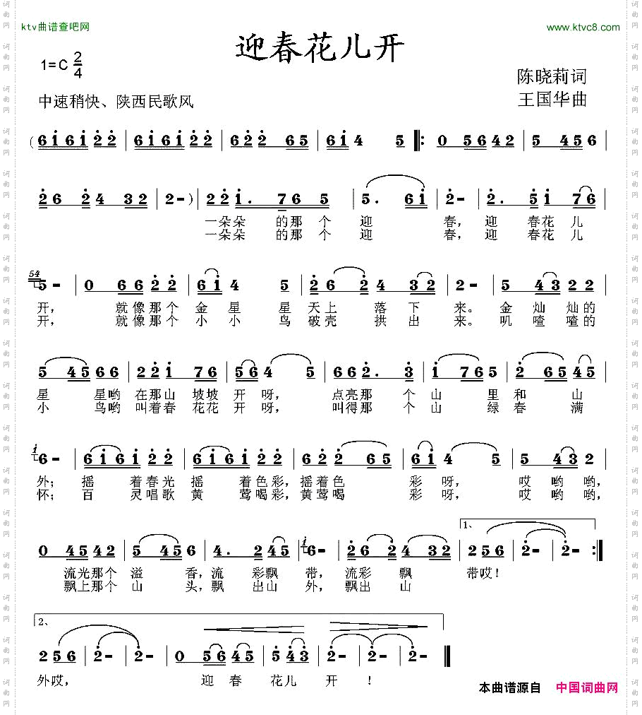 迎春花儿开