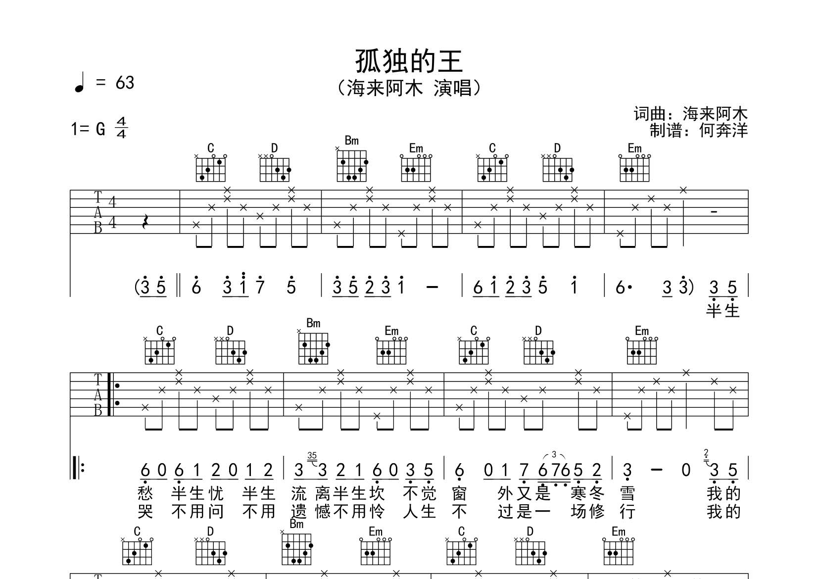 海来阿木_孤独的王吉他六线谱G调_飞韵吉他弹唱伴奏六线谱