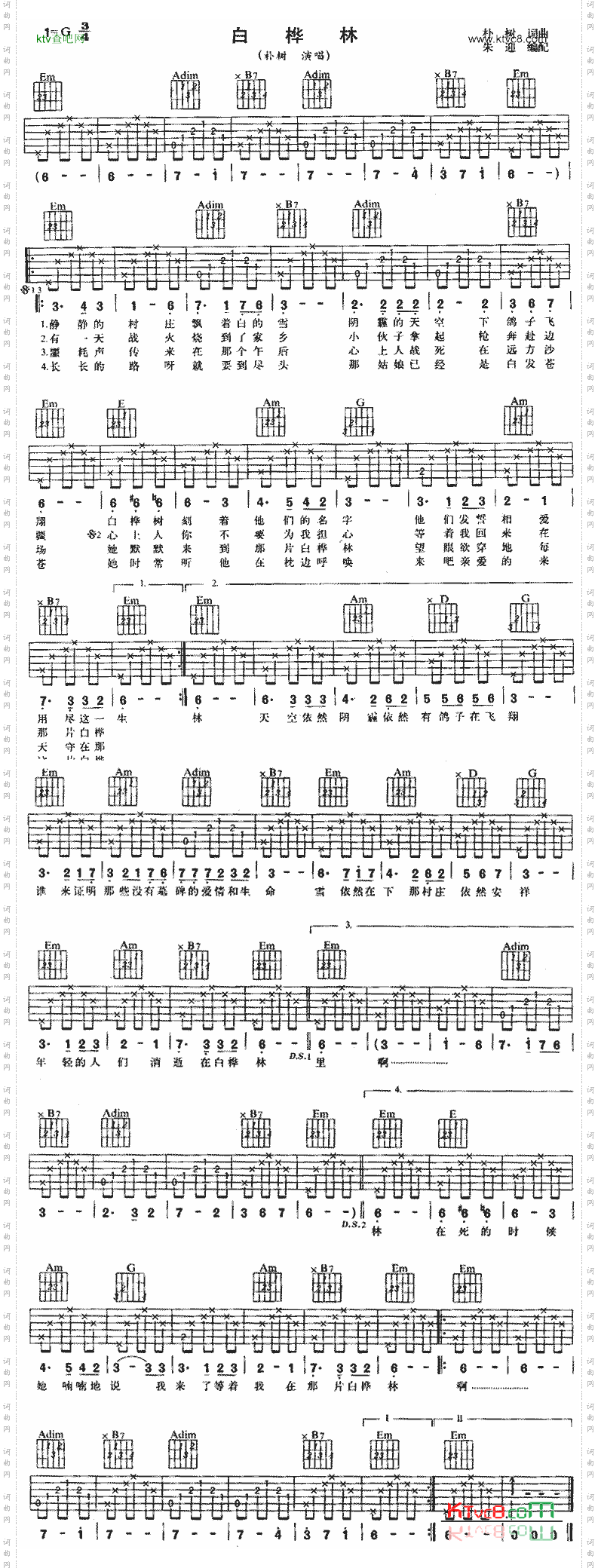 白桦林