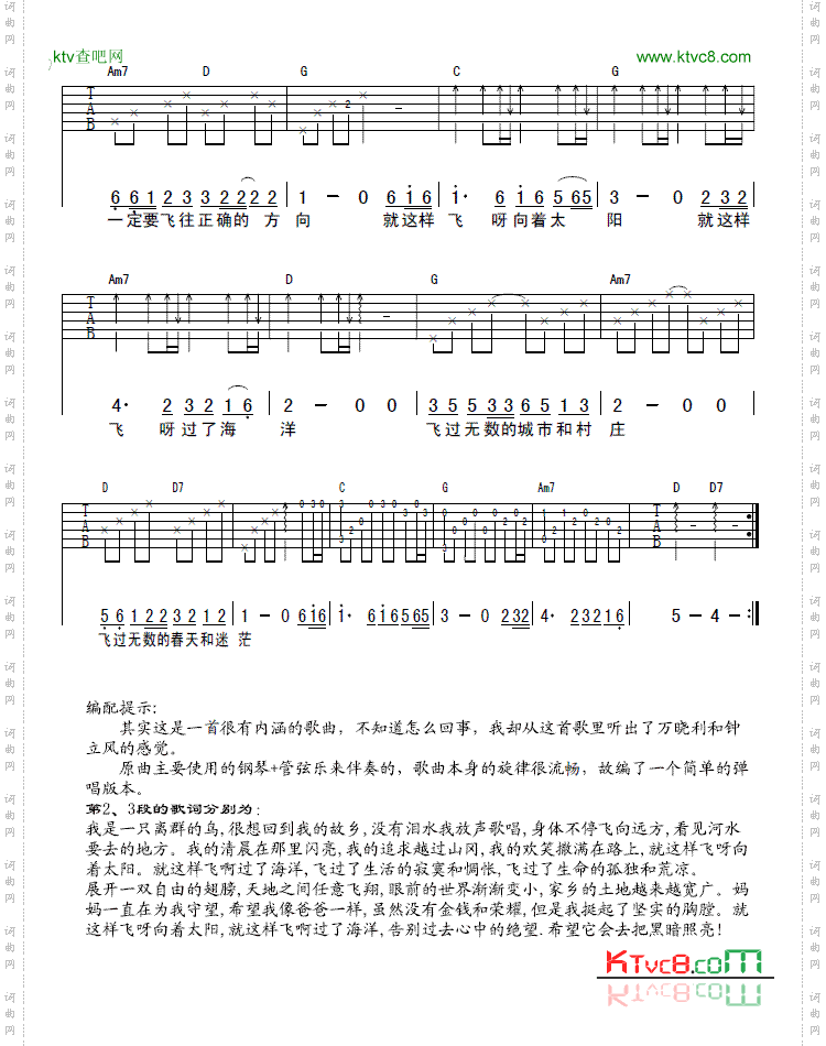 我是一只离群的鸟