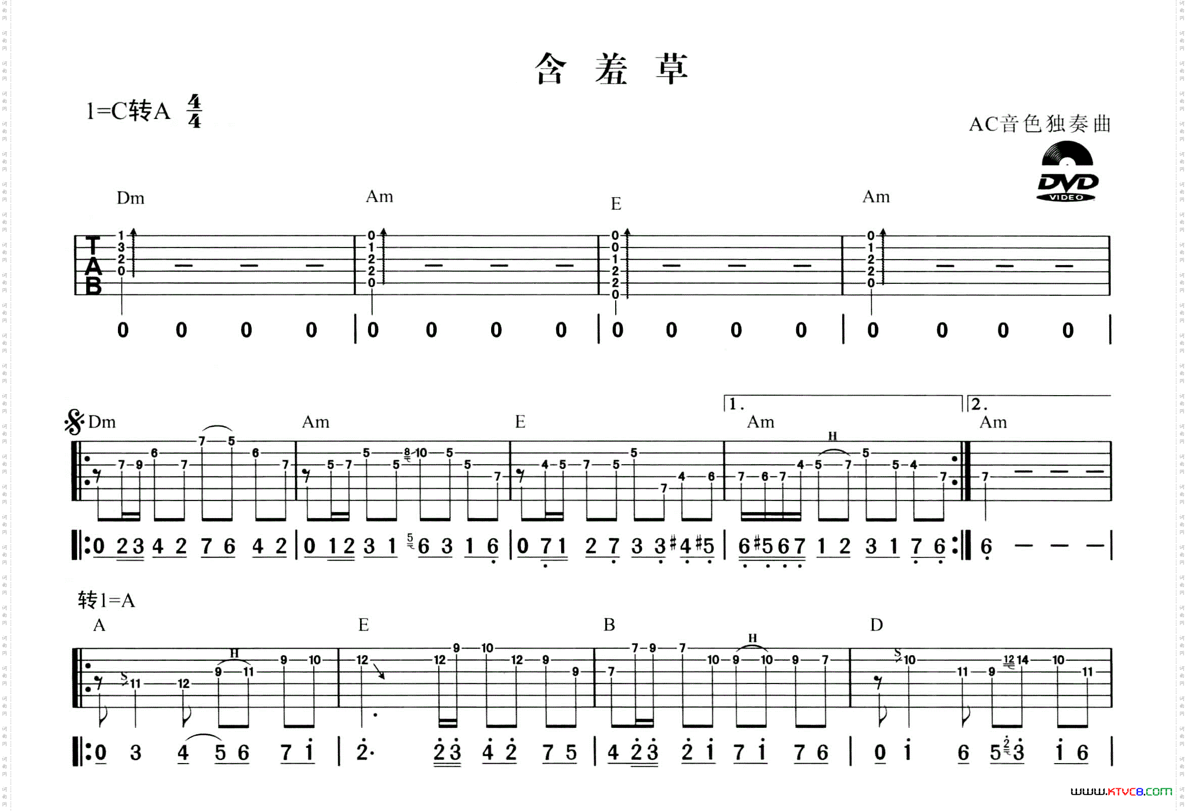 含羞草AC音色电吉他独奏曲