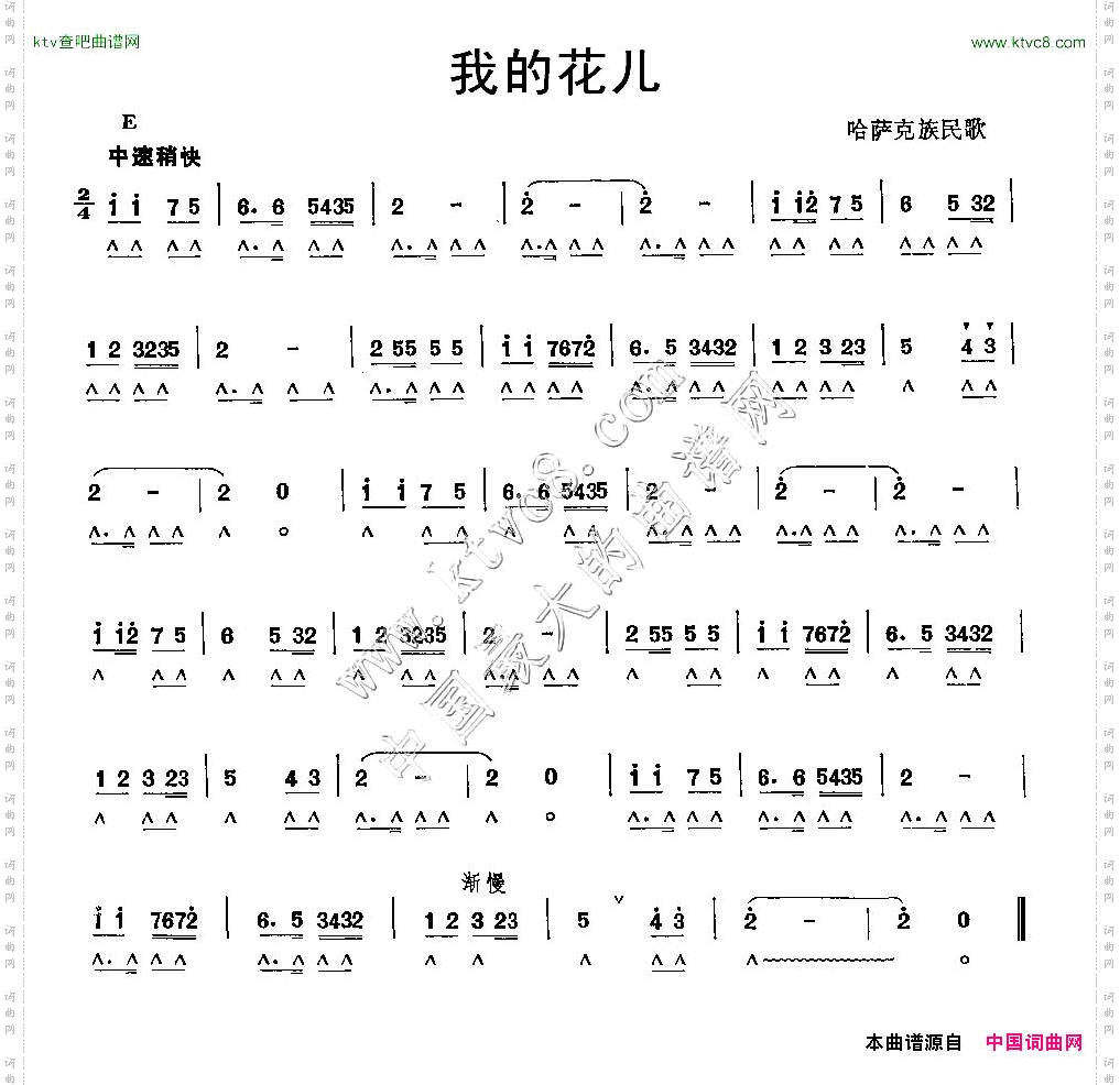 我的花儿