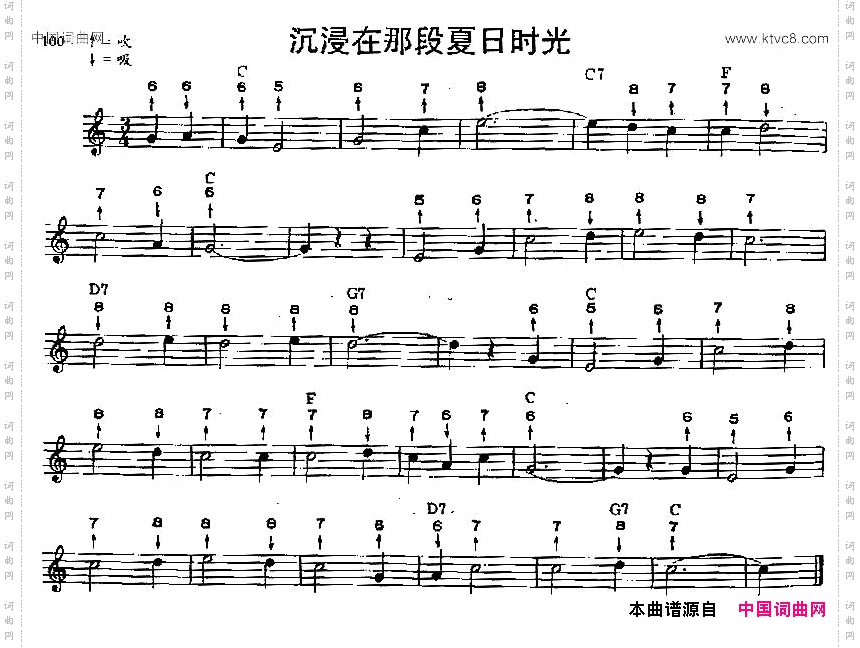 沉浸在那段夏日时光布鲁斯