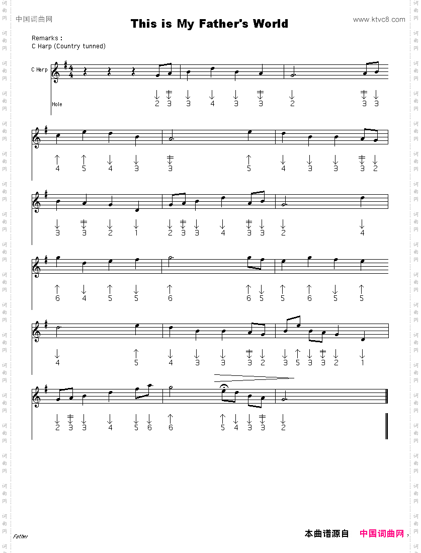 ThisisFather‘sworld父亲的世界_布鲁斯