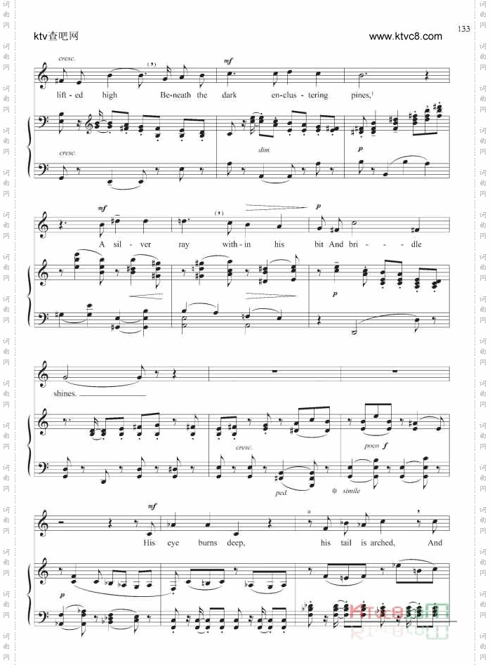 当苗条的索菲娅跨上她的骏马