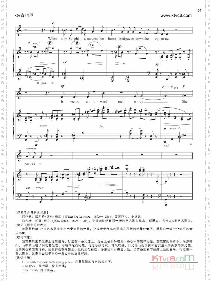 当苗条的索菲娅跨上她的骏马