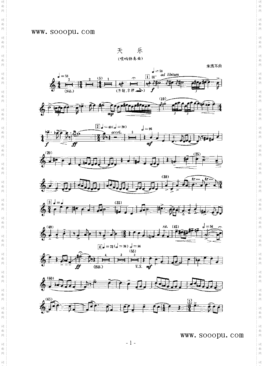 天乐民乐类唢呐