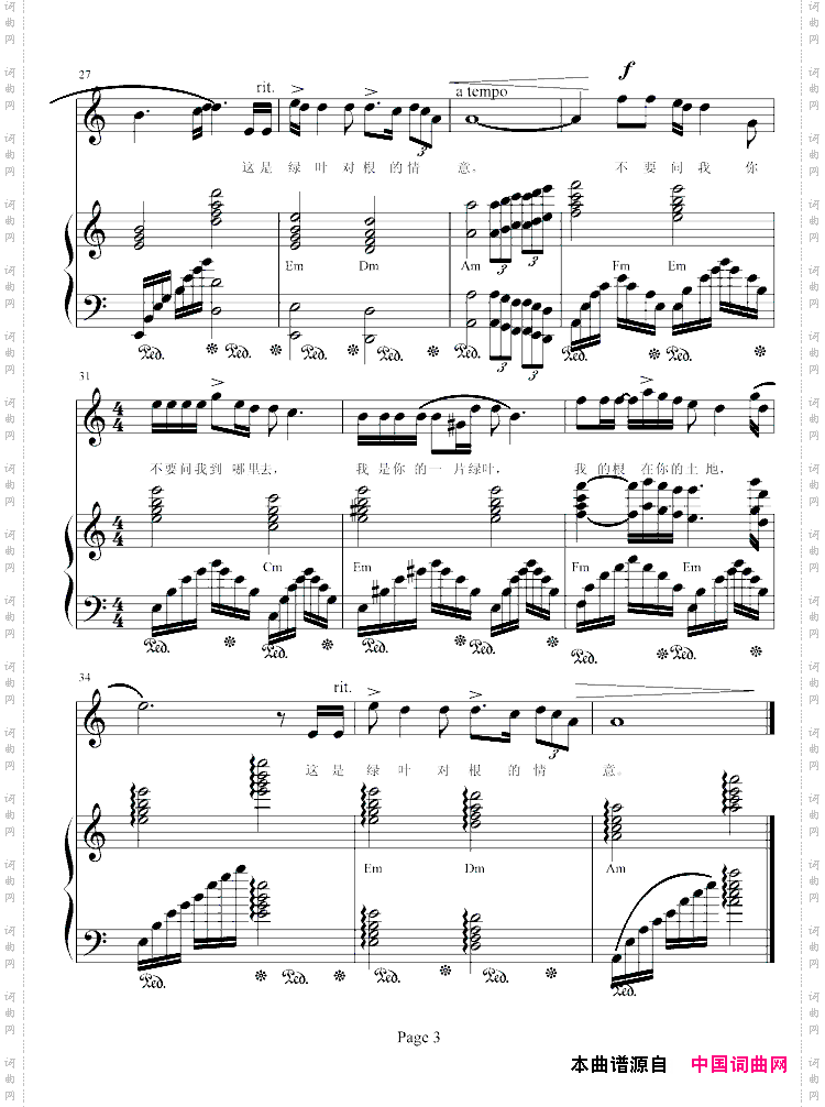 绿叶对根的情意（正谱）