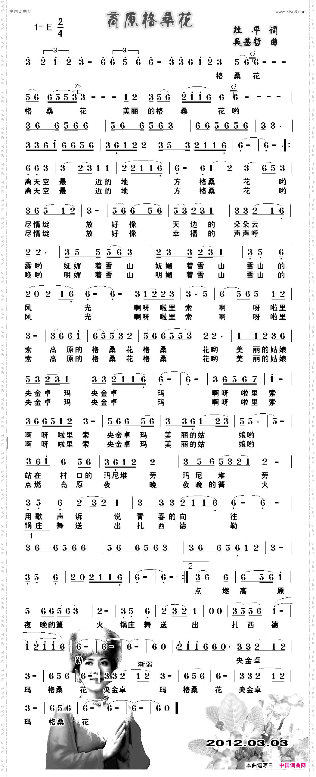 高原格桑花