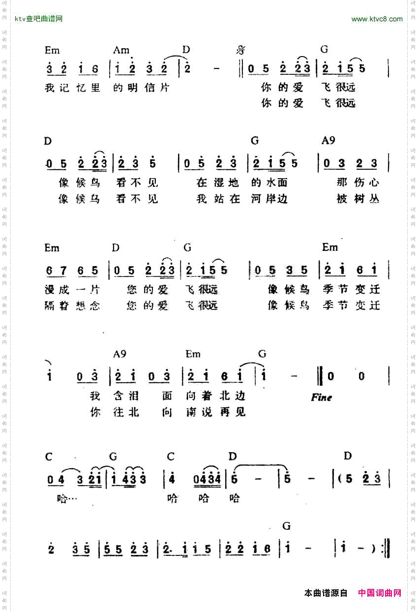 候鸟