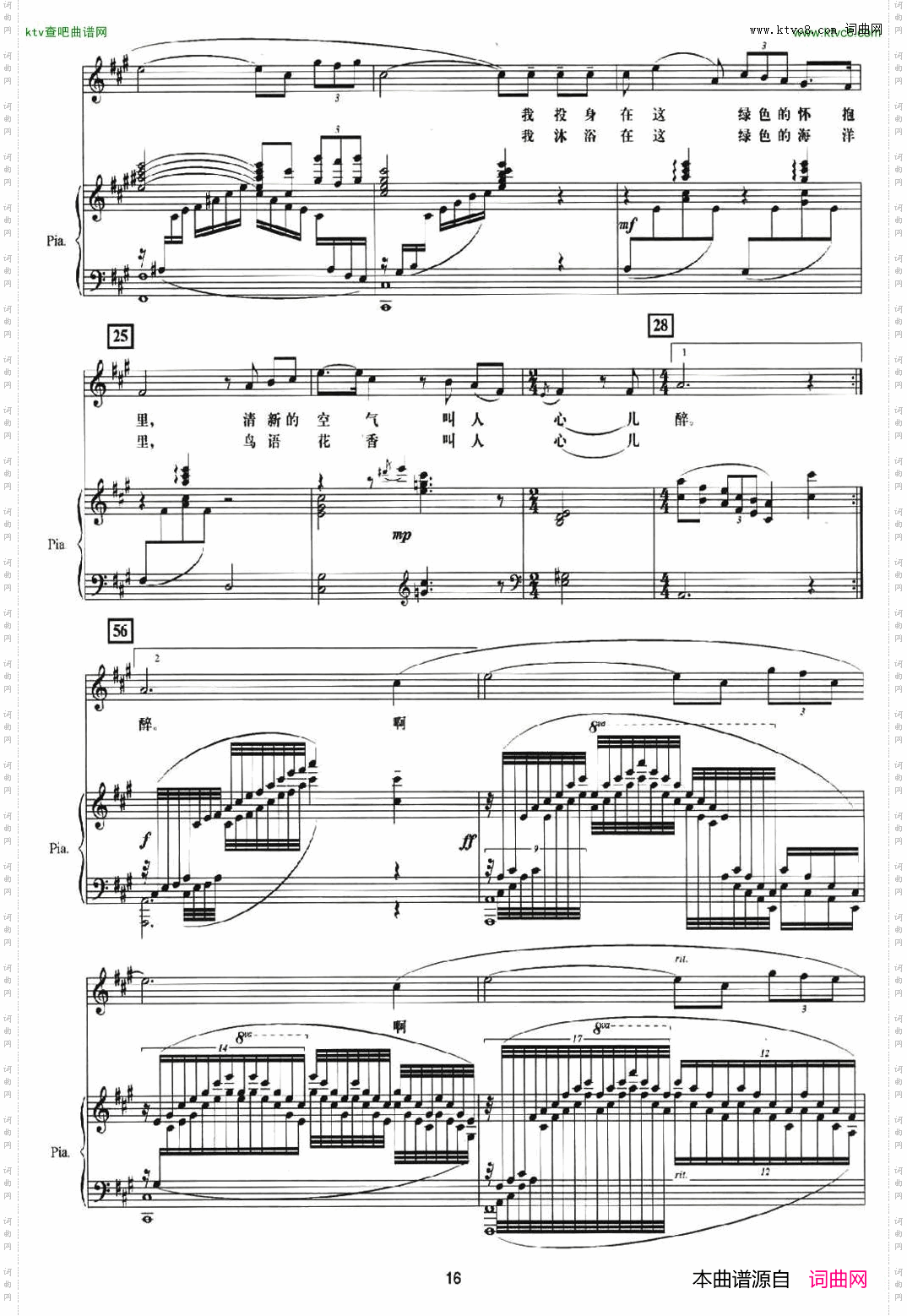 大森林的早晨（正谱）五线谱