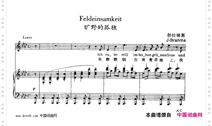 旷野的孤独