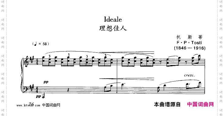 理想佳人