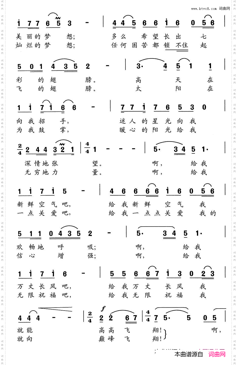 放飞梦想