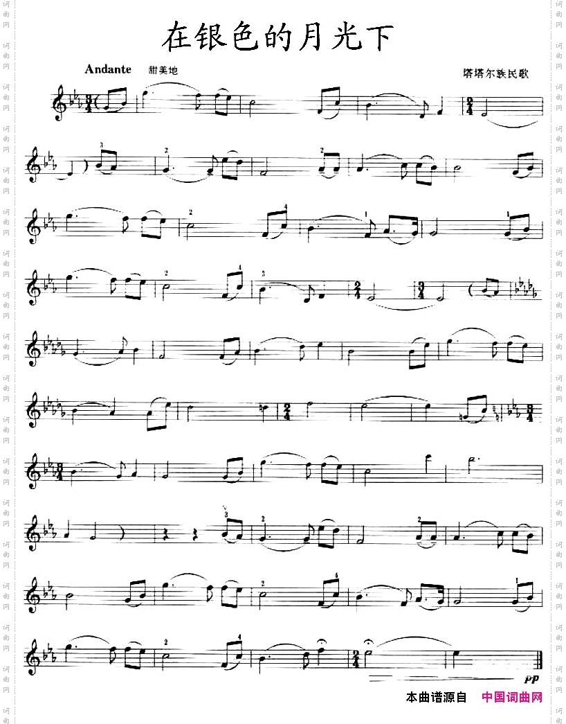在银色的月光下
