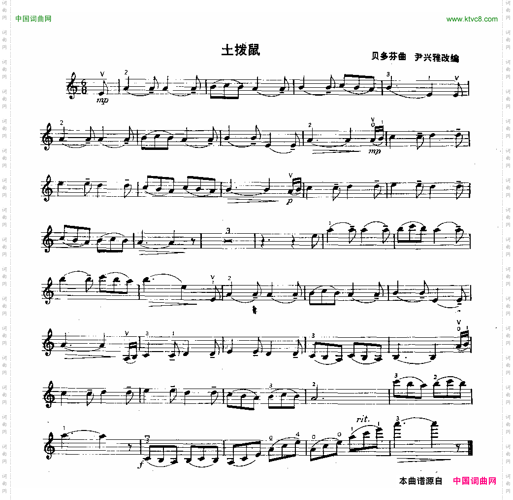 土拨鼠