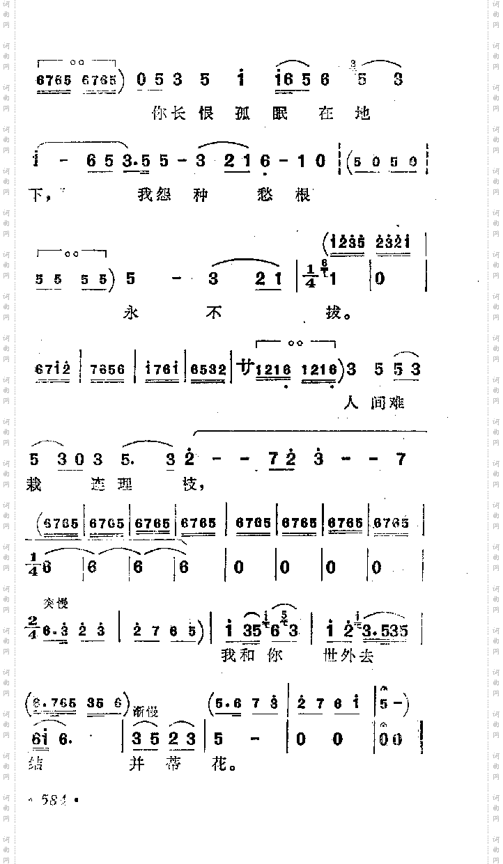 问紫娟