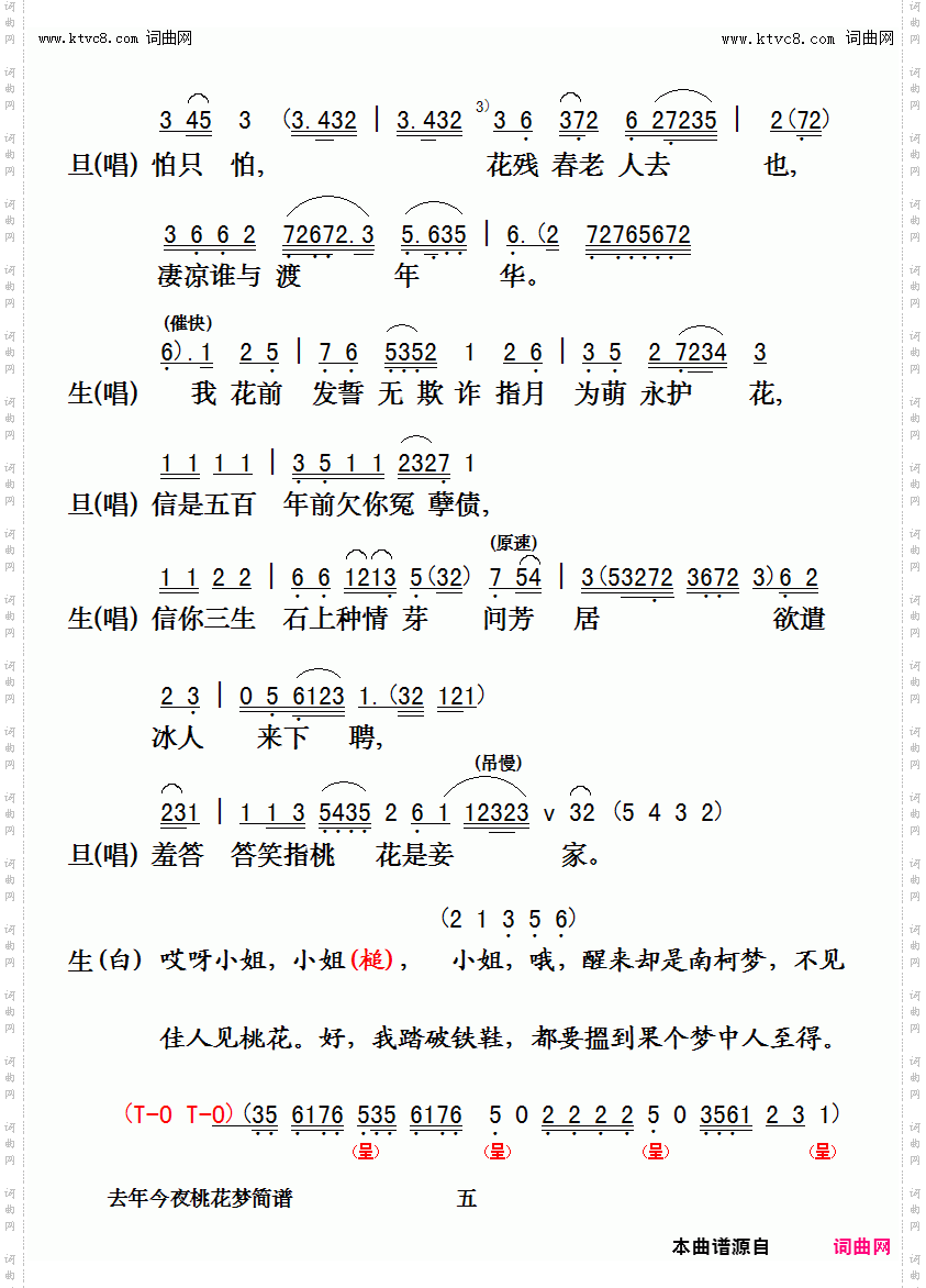 去年今晚桃花梦