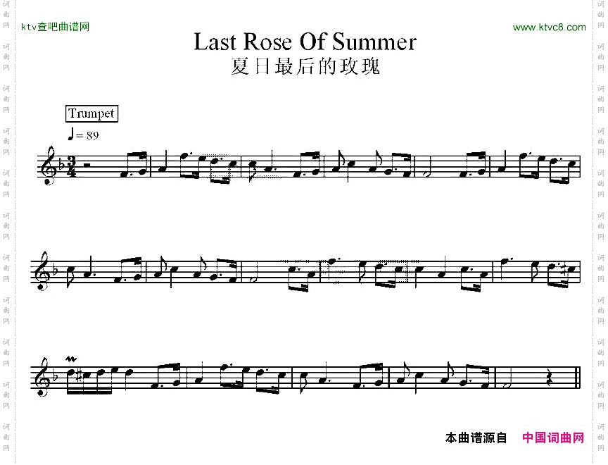 夏日最后的玫瑰