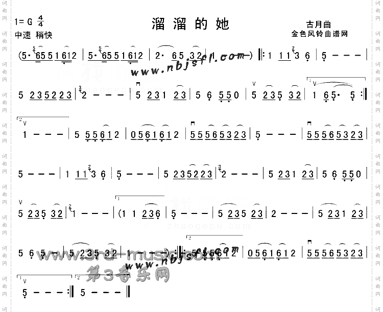 溜溜的她[二胡曲谱]