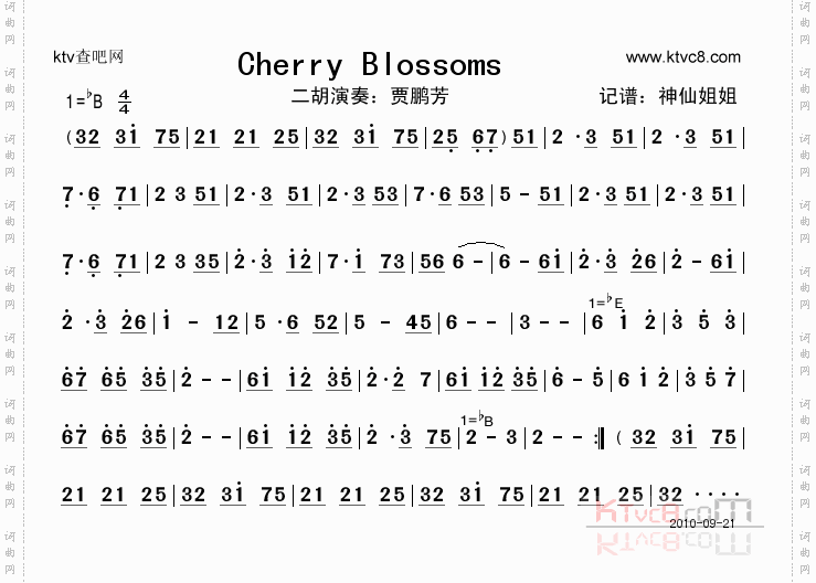 Cherry Blossoms