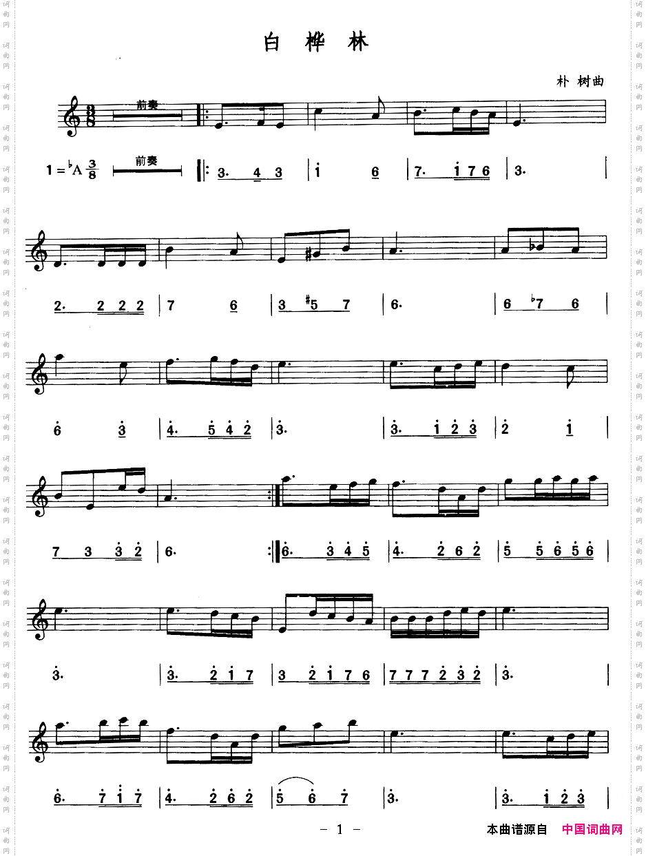 白桦林线、简谱混排版